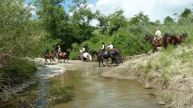 Il Poggio