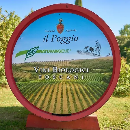 Il Poggio