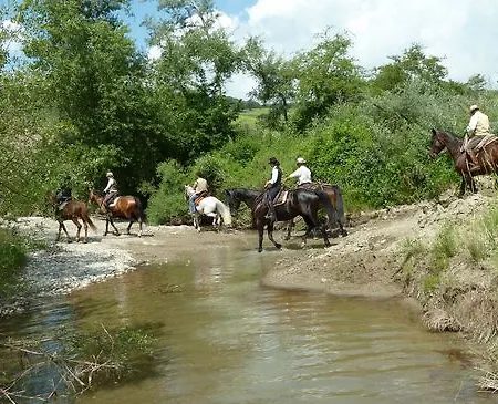 Il Poggio